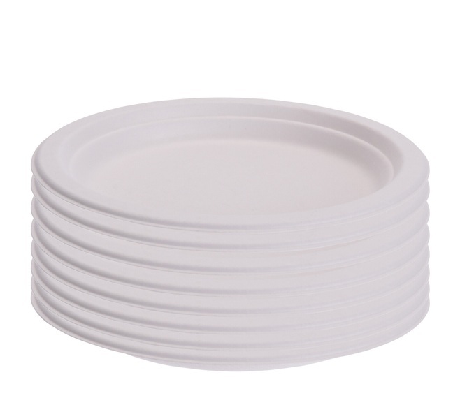 Einwegteller kompostierbar 8er Set