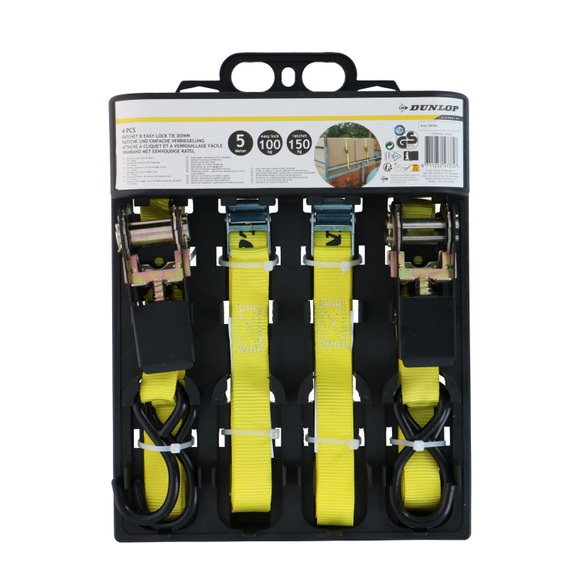Spanngurt Set 4-teilig 5 m