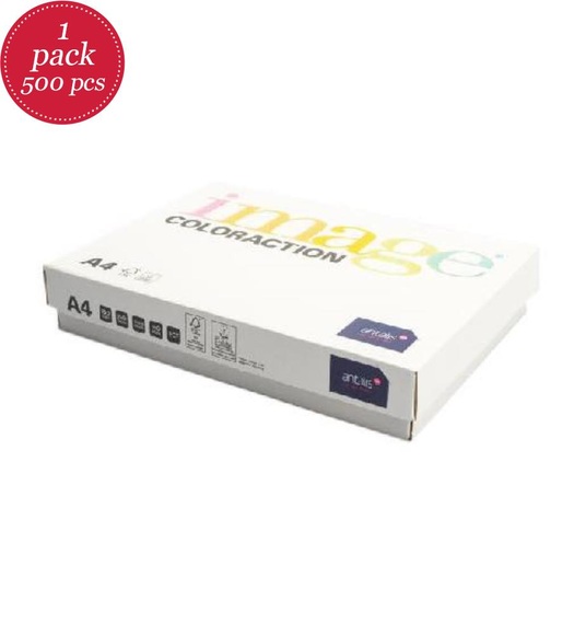 Antalis - Kopierpapier Image Coloraction 80 g/m² A4, Dunkelgrün