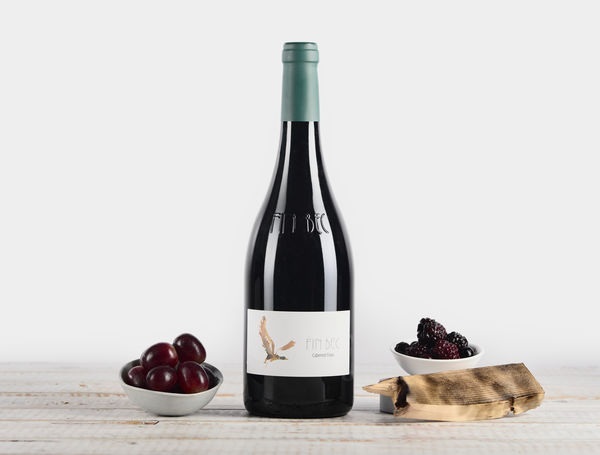 Bio Cabernet Franc du Valais AOC, 75cl, 2019
