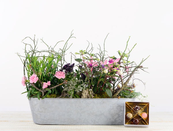 Geschenkset 