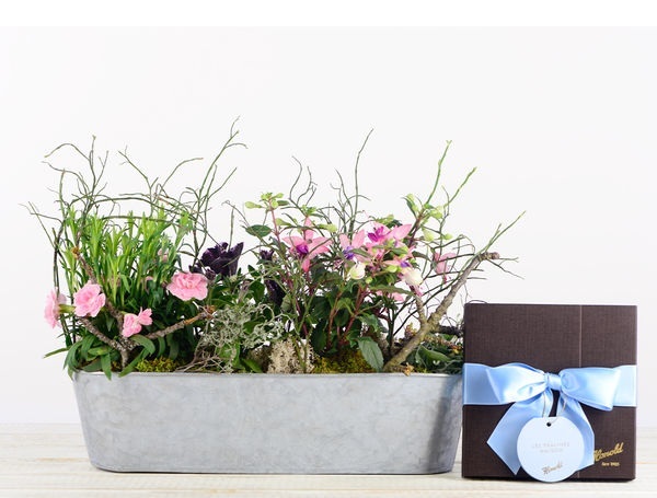 Geschenkset 