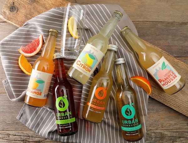 Bio Kombucha Set, 6er Pack à 33cl