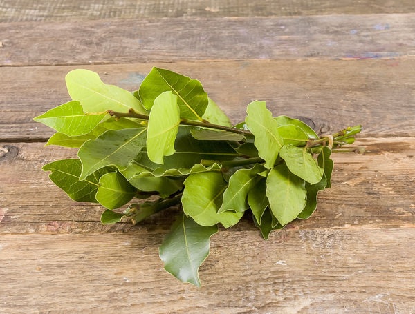 Lorbeerblätter, ca. 20g