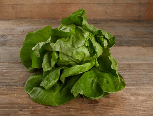 Kopfsalat grün