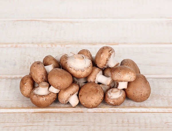 Champignons braun