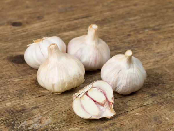 Bio Knoblauch trocken