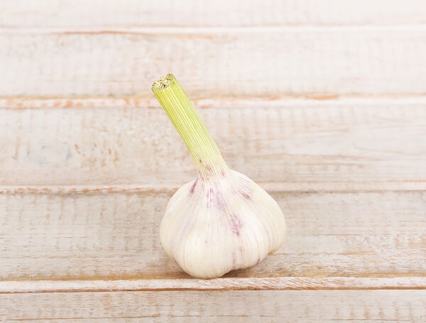 Schweizer Knoblauch frisch