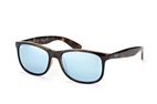 Ray-Ban RB4202 - 710/Y4 55/17 polarized