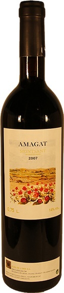 Clos de l'Ona Amagat Montsant DO - 75cl - Katalonien, Spanien