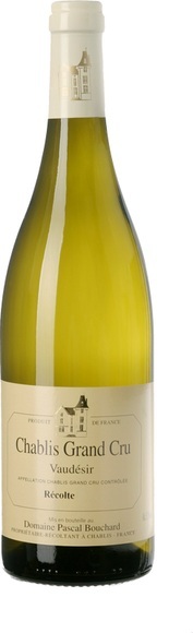Pascal Bouchard Vaudesir Grand Cru Chablis AOC - 75cl - Burgund, Frankreich
