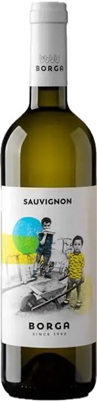 Cantine Borga Sauvignon Blanc Trevenezie IGT - 75cl - Veneto, Italien