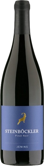 Rutishauser-Divino Steinböckler Pinot Noir Jenins AOC Graubünden - 75cl - Bündner Herrschaft, Schweiz