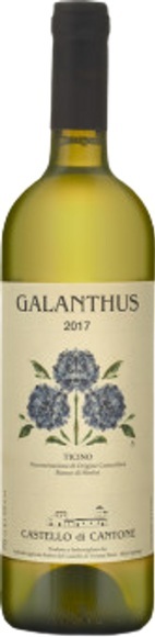 Castello di Cantone Ticino DOC Bianco di Merlot Galanthus - 75cl - Tessin, Schweiz
