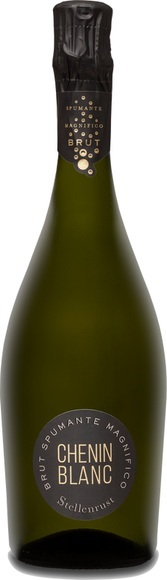 Stellenrust Spumante Chenin Blanc - Stellenrust - 75 cl - Champagner und Schaumwein - Coastal Region, Südafrika