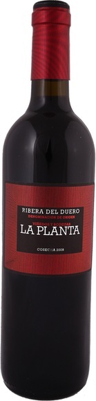 La Planta Ribera del Duero DO 2017 - Bodegas Arzuaga Navarro - 150 cl - Rotwein - Duero-Tal (Castilla y Leon), Spanien
