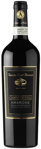 Tenuta Sant'Antonio Amarone dV DOC Campo dei Gigli - 75cl - Veneto, Italien