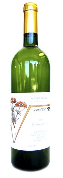 Gianni Voerzio Langhe Arneis Bricco Cappellina DOC - 75cl - Piemont, Italien