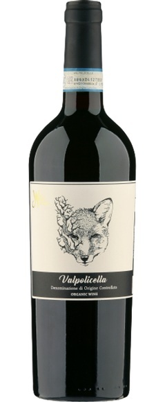 Azienda Fidora Valpolicella DOC Organic - 75cl - Veneto, Italien