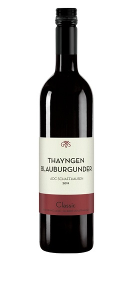 GVS Schachenmann Thayngen Blauburgunder - 75cl - Schaffhausen, Schweiz