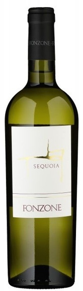 Fonzone Fiano Irpinia DOC Sequoia - 75cl - Kampanien, Italien