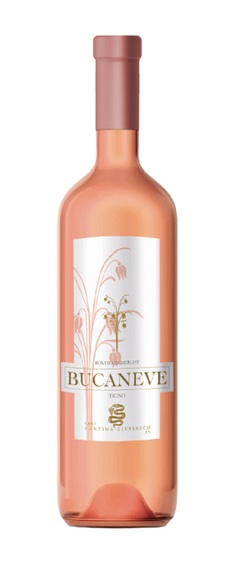 Bucaneve Ticino DOC Rosato Merlot 2019 - Cantina Giubiasco - 75 cl - Roséwein - Tessin, Schweiz