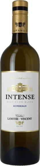 Château Lamothe-Vincent Bordeaux Sauvignon Intense MC - 75cl - Bordeaux, Frankreich