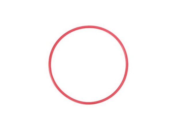Olympus POL-050 - O-Ring