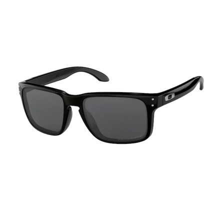 Oakley Sonnenbrillen Oakley OO9102 HOLBROOK Polarized 9102O2