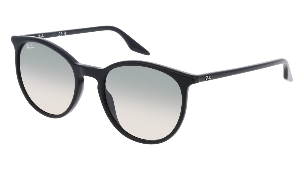 RAY-BAN RB2204 Unisex-Sonnenbrille Vollrand Panto Acetat-Gestell, schwarz