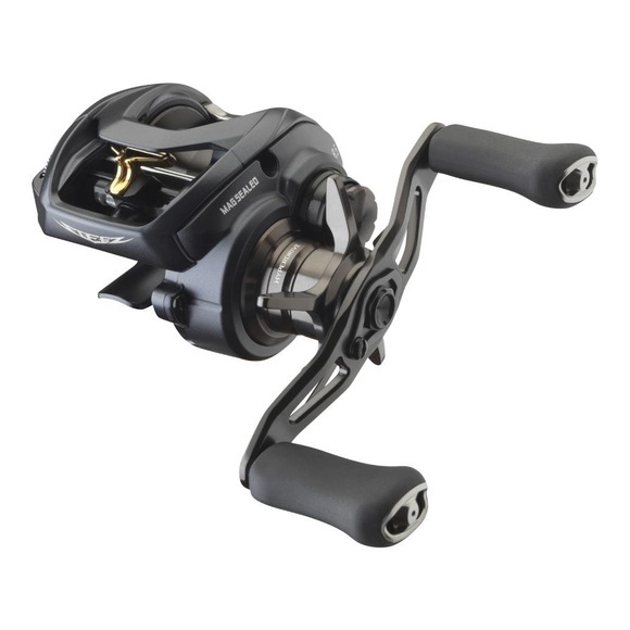 Daiwa Steez A II TW - Multirolle