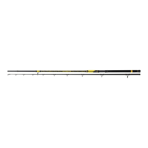 Black Cat Perfect Passion XH-S - Welsrute - Black/Yellow -