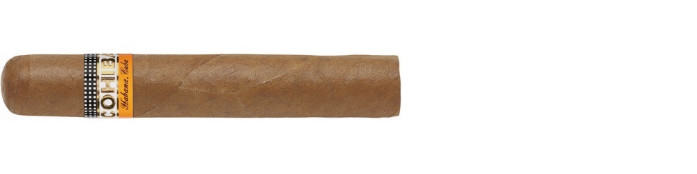 Cohiba Robustos (Verpackungseinheit: Einzeln)