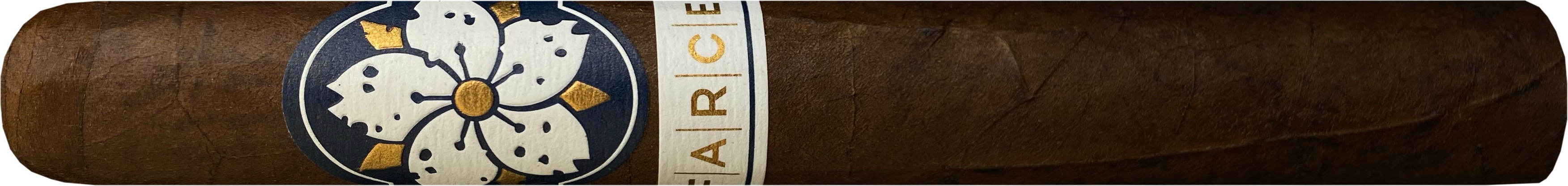 ROOM 101 Farce Maduro Magnum (Verpackungseinheit: 1er)