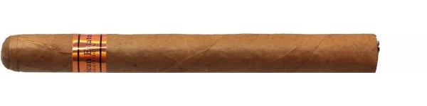 Dominican Estates Churchill
