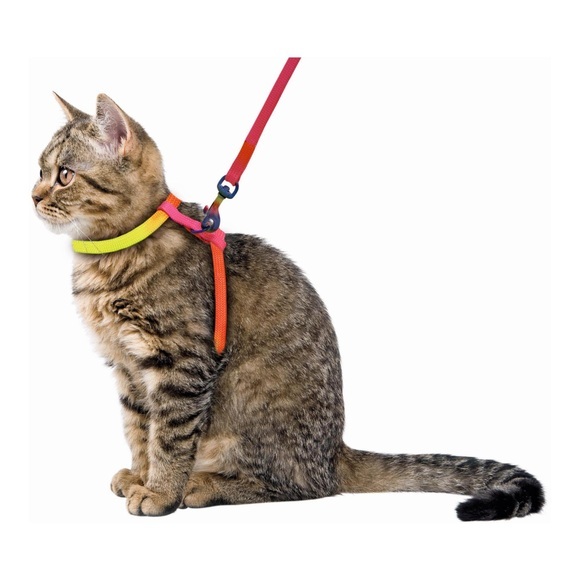 KERBL Katzengeschirr Rainbow