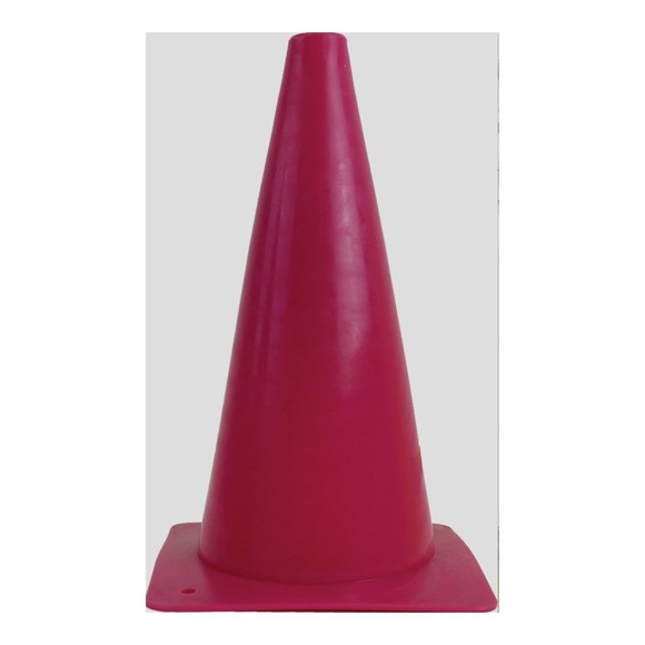 Equip Horse Pylonen/ Hindernis-/ Trainingskegel 5 Stück - rosa