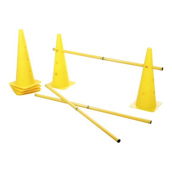 Kerbl Agility Pylonen-Hürden Set