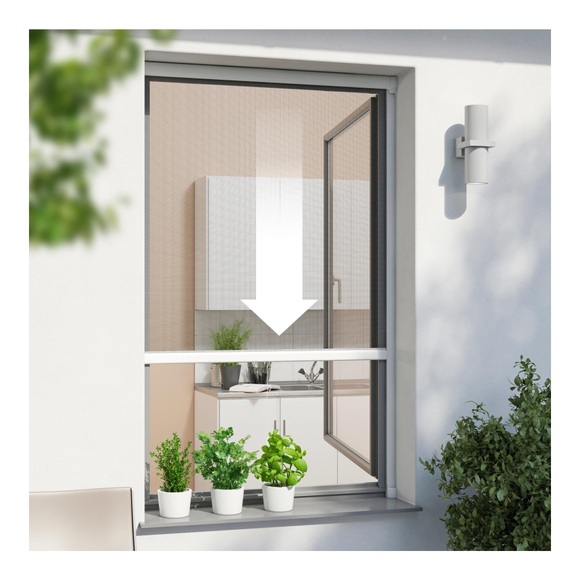 WINDHAGER Fliegengitter Rollo PLUS FENSTER