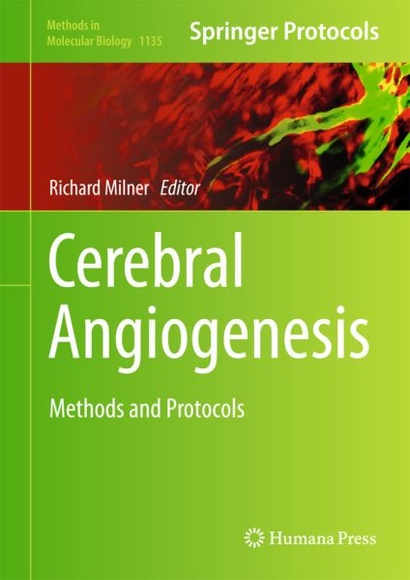 Cerebral Angiogenesis