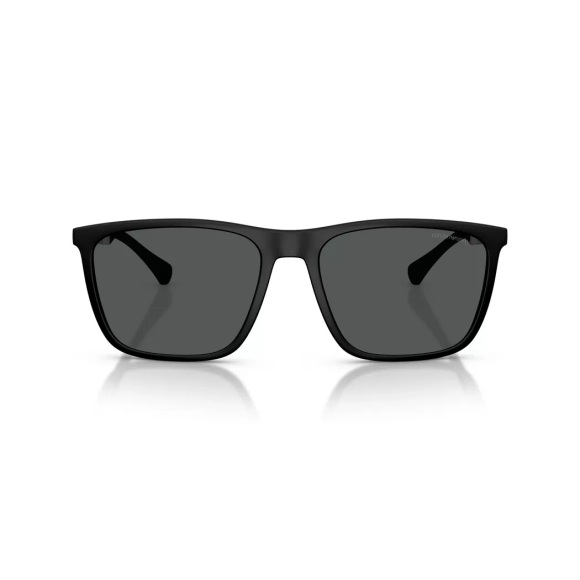 Emporio Armani Sonnenbrillen EA4150 506387