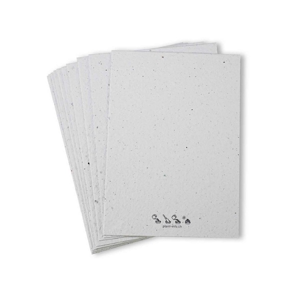 Samenpapier Samenpapier