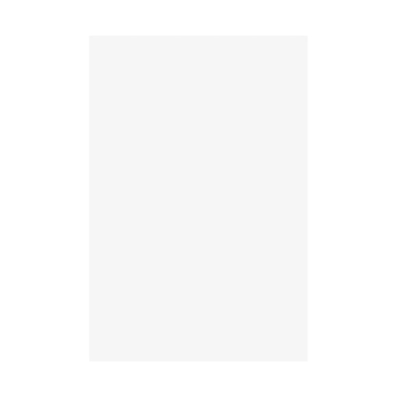 Stewo Geschenkpapier Geschenkpapier