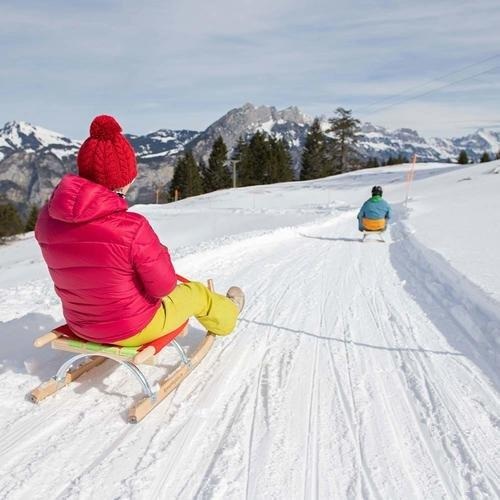 Halber Tag Schlittelplausch (für 1 Person) Unisex