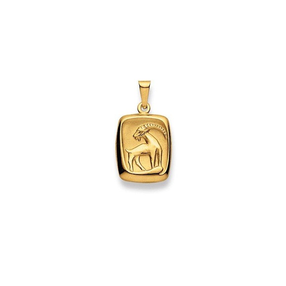 Anhänger Sternzeichen Steinbock Gelbgold 750, 24x13mm Damen Gelbgold ONE SIZE