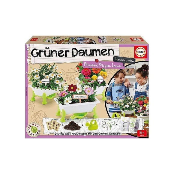 Educa - Gruner Daumen Erdbeeren-Minz-Basilikum (DE)