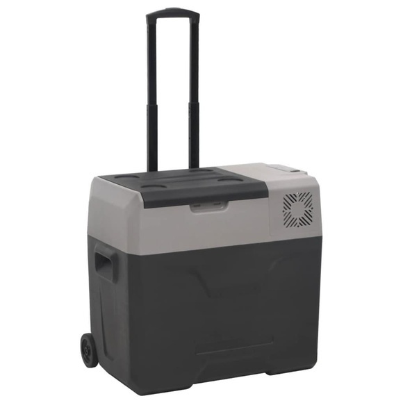 vidaXL Kühlbox mit Rollen und Griff Schwarz & Grau 30 L Polypropylen