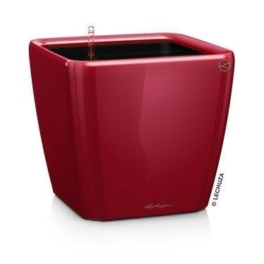 Lechuza - 3er-Set Blumenkästen mit Integriertem Bewässerungssystem Quadro Premium 43 LS - Rot