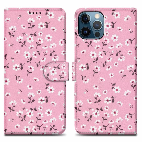 Hülle für Apple iPhone 12 PRO MAX Kartenfach