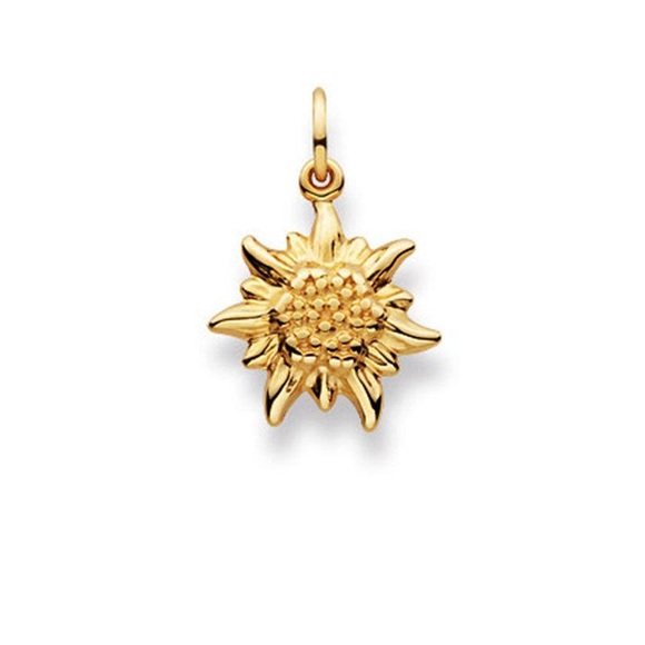 Anhänger Edelweiss Gelbgold 750, 19x13mm Damen Gelbgold ONE SIZE